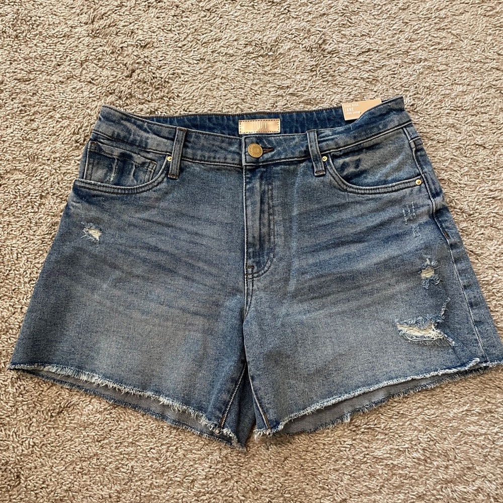 Kut from the Kloth Distressed Blue Jean Shorts